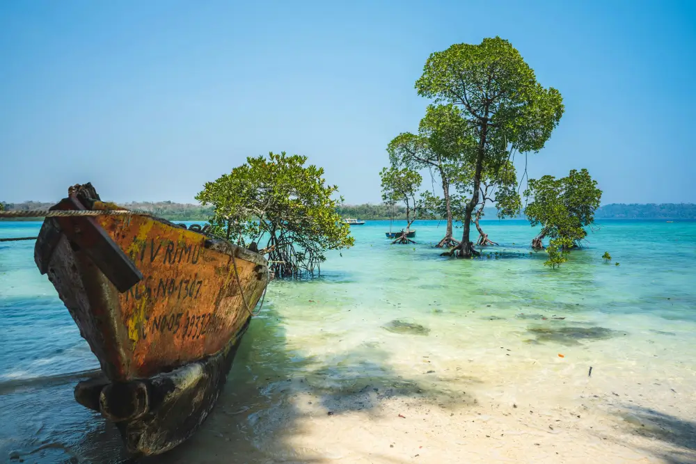 Best Andaman Package